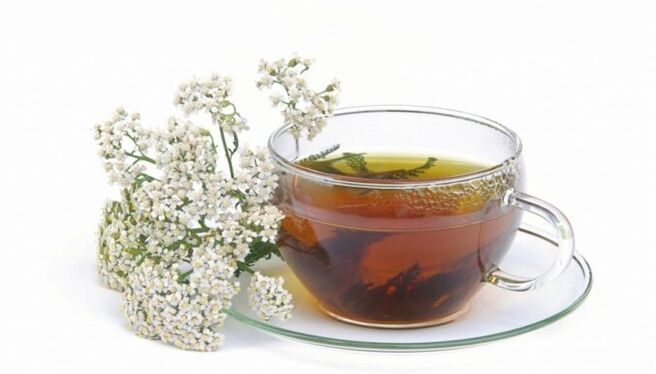 plant -based tea
