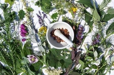 Folk remedies for increasing power