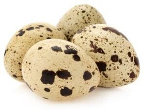 Quail objects to increase power